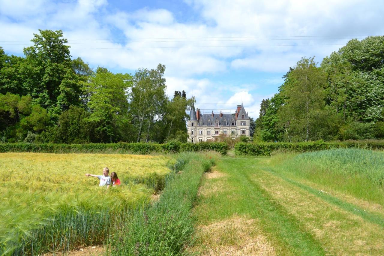 Chateau Le Boisrenault Hotel Buzancais Bagian luar foto